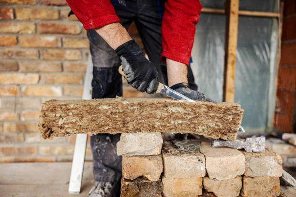 Best Insulation Contractor Near Me  in Pine Ridge, SD